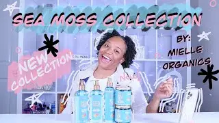 New Sea Moss Collection By Mielle Organics | Prevents Hair Loss | Fights Shedding | First Impression