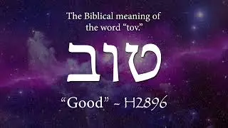 Why Learn Hebrew? | TOV (Word of the Week)