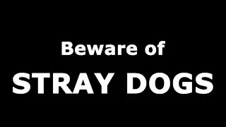 An Awareness Message on Stray Dogs (English)