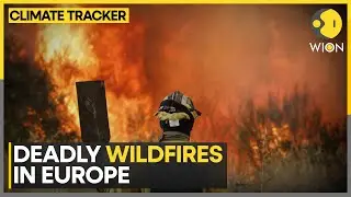 Spain Wildfires: Over 400,000 Hectares Ravaged By Fires, UNESCO Site Las Medulas Also Affected