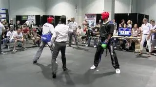 Leon Jefferson v Michael Jefferson WAKO North American Open 2016