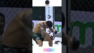 The Most BRUTAL KNOCKOUTS 💀🥊| #ufc #mma #boxing #highlights