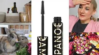 Panorama Mascara von LÒreal im Test,  Küchenregal neu organisiert & Kaninchen Zahnprobleme