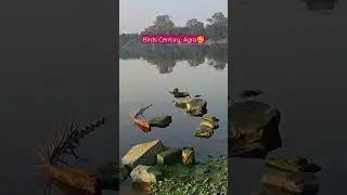 Keetham Lake, AGRA🥰 #india #beauty #journey #nature #reality #lovesong