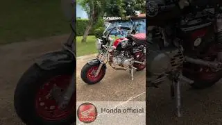 Honda mini bike/Honda monkey bike/Honda / #bike #hondaminibike #automobile