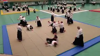 United Kingdom UKA - 57th All Japan Aikido Demonstration 2019