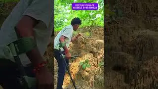 काल्पनिक खजानेकी खोज