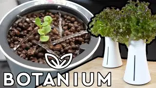 Botanium: Настольная гидропонная кашпо