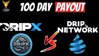Dripx 100 day portfolio update compared to Drip Network