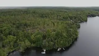 Steenburg Trees 4K
