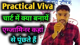 12th practical viva question 🔥 | Physics chemistry biology चार्ट में क्या बनायें / Viva question 🔥