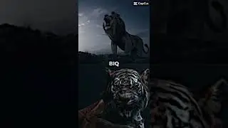 Shere Kahn vs lion king pt2 (simba) #viral #vs #simba #sherekhan subscribe ‼️