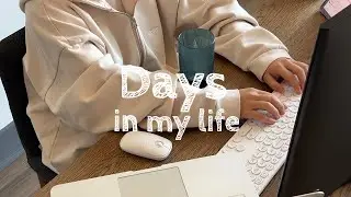 🇺🇸 PhD Student Vlog | Midterms & (Not So) Real Break