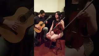 Nothing Else Matters - Metallica (Violin & Classical Guitar cover)