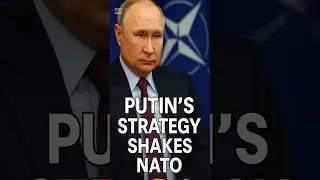 Putin&rsquo;s Strategy Shakes NATO