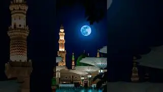 beautiful Islamic TikTok Video 🥰 #beautifullslamic #islmaicvidoes #ytshortsindia
