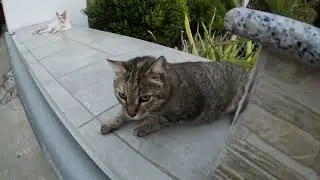 Cipru pas cu pas Limassol 2