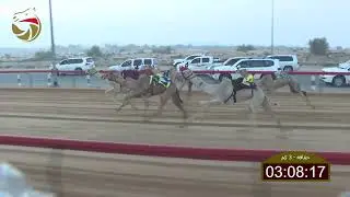 سباق الحقاقة – لهباب 26-12-2025 ش1 الغزيل لـ محمد عيسى سالم المالكي 4:20