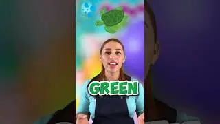 Practice the colors in Spanish with your little one! Pr&aacute;ctica los colores en ingl&eacute;s con tu peque&ntilde;o!