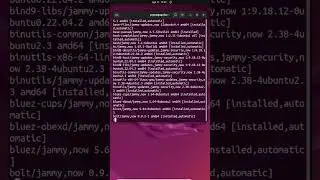 &iquest;C&oacute;mo utilizar pipes en la l&iacute;nea de comando de Linux? 🚀