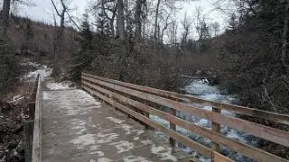Basher - Prospect Loop [Last Hike 2019] 4.3 Miles | Anchorage, AK