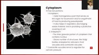 Medical Students Explained: Protozoa