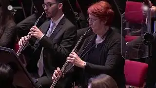 Tchaikovsky: The Sleeping Beauty Suite, English Horn Solo