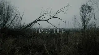 The Delirium - На север