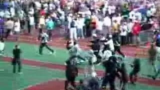 Stadium Battle During World Cup Final