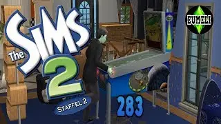Alles muss geordnet werden - Part 283 | Die Sims 2 Staffel 2 [HD/Deutsch]