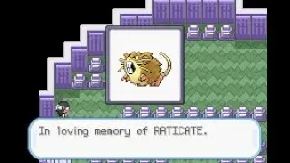 Water Blue Raticate Update