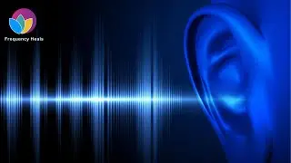 Hyperacusis Therapy | Lower Noise Sensitivity & Prevent Ear Pain & Increase Social Interactions