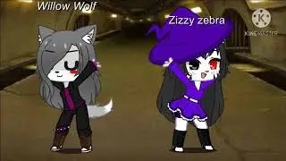 When pony and the player leave zizzy to find the cure.