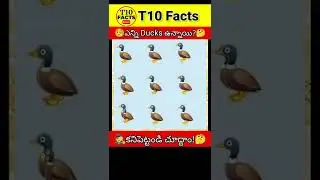 🧐 కనిపెట్టండి చూద్దాం!🤔 | Puzzles in telugu | Ducks Puzzle| T10 Facts Riddles #shorts #viral #puzzle