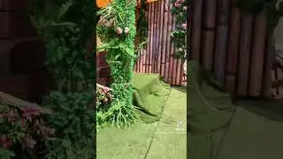 A short video on traditional wedding decoration setup