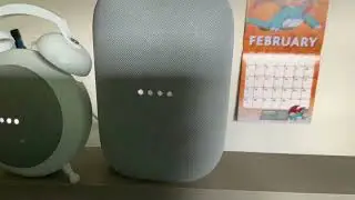 Google Nest Audio vs Google Home Mini vs Amazon Echo Dot