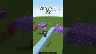 Тест на IQ жителя деревни в Minecraft