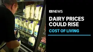 Prices could rise as dairy farmers feel rising production costs | ABC News