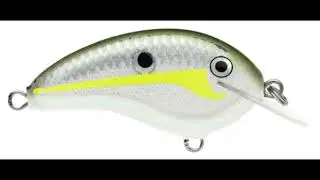 New Rapala Ott's Garage Tiny 4