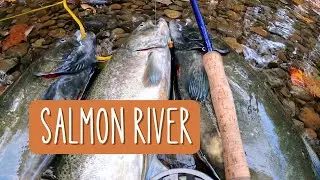 Salmon River Pulaski NY Oct 17 2022