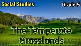 The Temperate Grasslands class 5 Social Studies | Explanation|Location|Climate|Vegetation|Cbse|Ncert