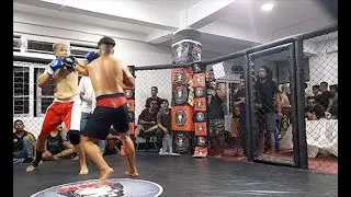 Daniel Damlong Kickboxer (GOLD MEDAL)