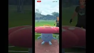 The ultimate team in POKEMON GO SPRING CUP!!! #pokemon #pokemongo #pok&eacute;mongo