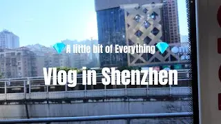 A Day in Shenzhen:Work, Life, and Spring Festival Vibes!