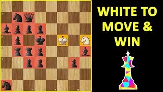 MATE in 12 | Chess Challenge | Solve This If YOU Are a GENIUS | Endgame Puzzle, Moves & Tactics