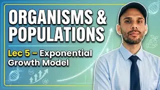 Exponential Growth Model | Population Growth Class 12 Biology | NEET 2026 NCERT Explanation