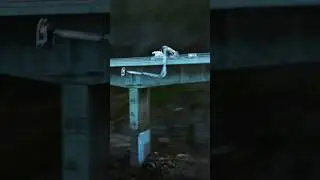 Part 1: &ldquo;Sea Cliff Bridge | Bridge Unit Deployment POV&rdquo;