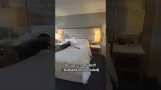 Swan and Dolphin Room Tour: Dolphin King Bed Room