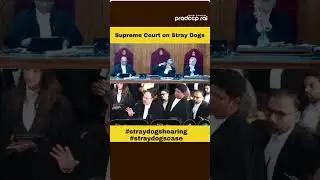Arguments Coming are far moved from Reality: SC in Stray Dogs Case Hearing #shorts