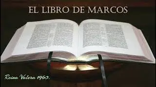 LA BIBLIA HABLADA 